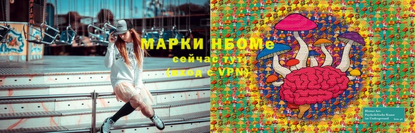 гашик Алексеевка