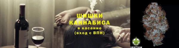 гашик Алексеевка