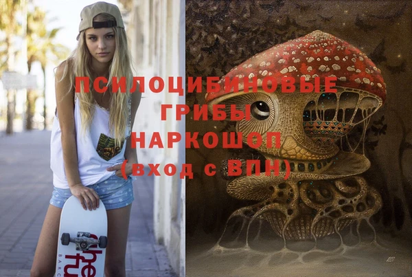 твердый Алексин