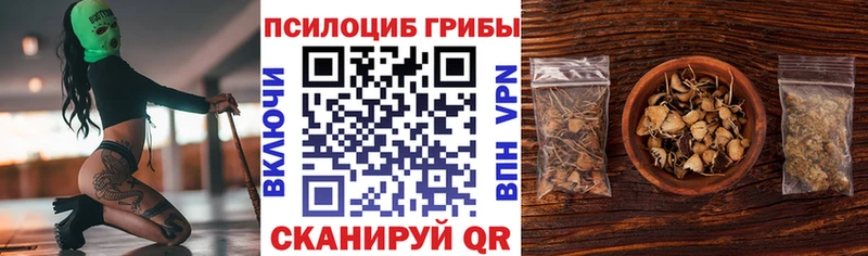 Псилоцибиновые грибы прущие грибы  как найти   MEGA рабочий сайт  Тавда 