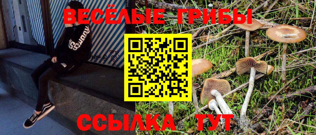 Тавда  Галлюциногенные грибы Psilocybe  Вход с VPN 