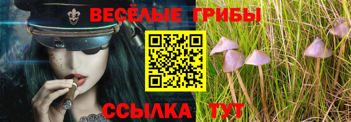 Псилоцибиновые грибы Psilocybe Тавда